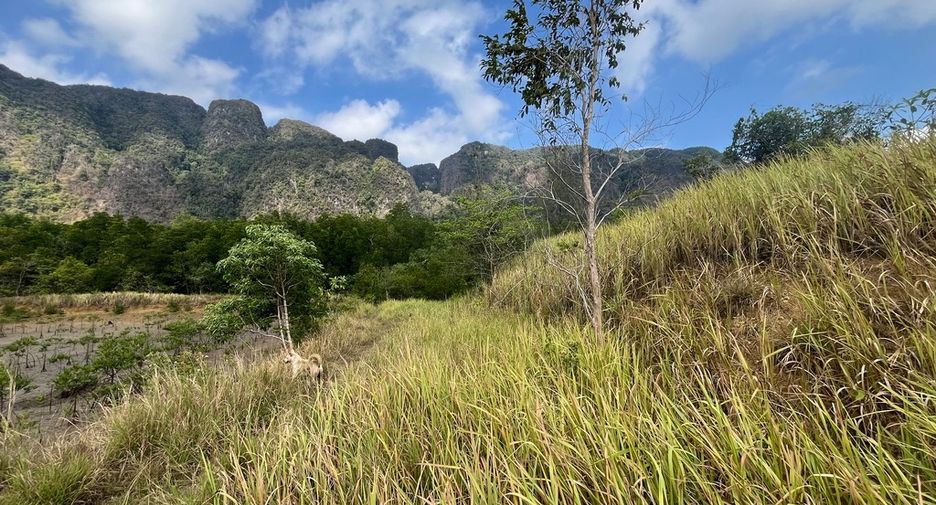 For sale land in Mueang Phangnga, Phang Nga