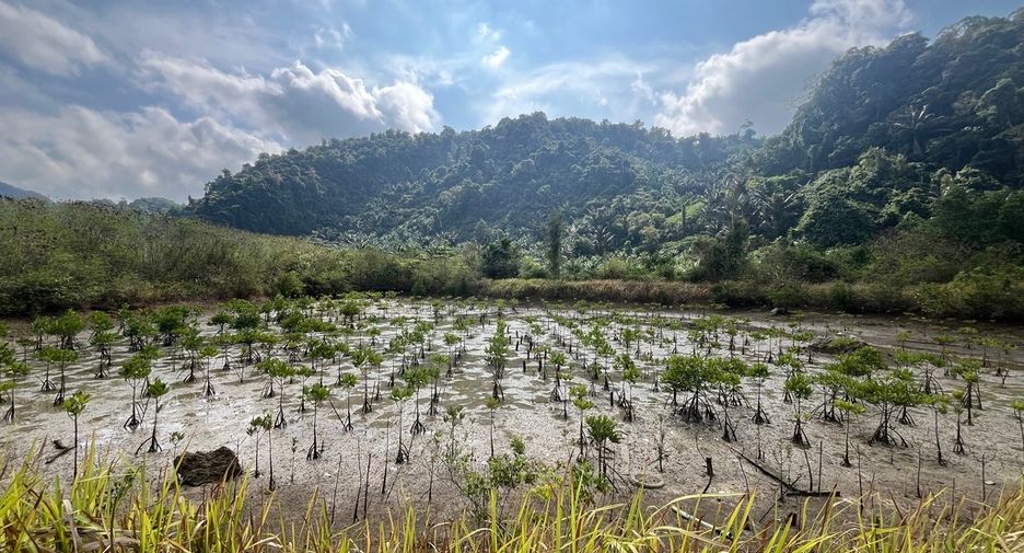 For sale land in Mueang Phangnga, Phang Nga