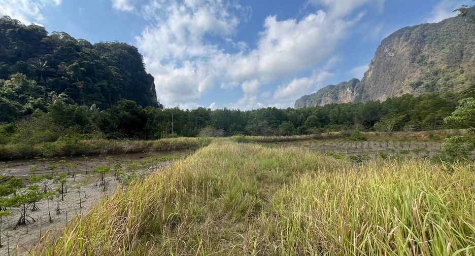 For sale land in Mueang Phangnga, Phang Nga