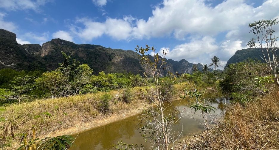 For sale land in Mueang Phangnga, Phang Nga