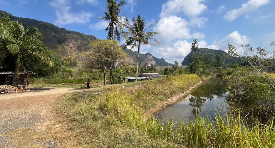 For sale land in Mueang Phangnga, Phang Nga