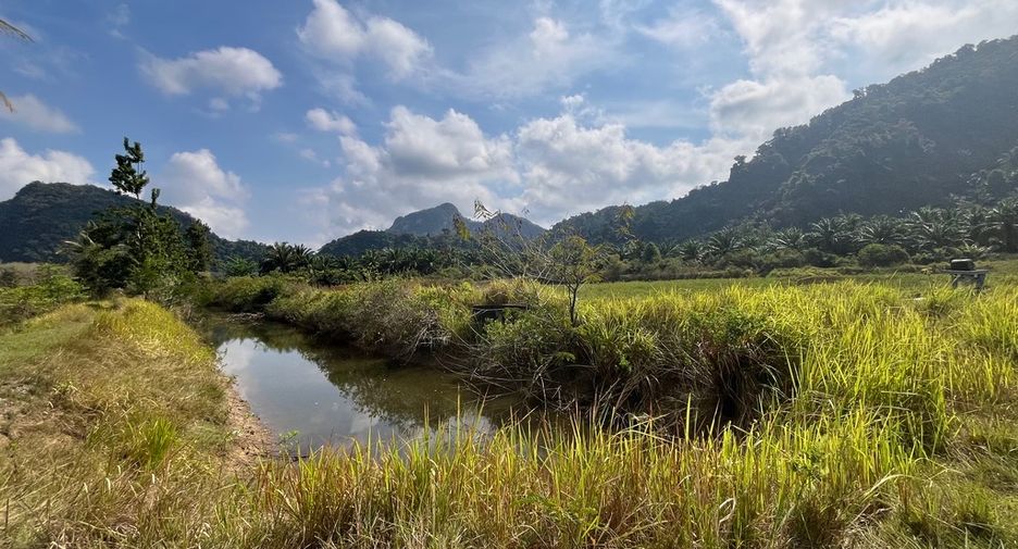 For sale land in Mueang Phangnga, Phang Nga