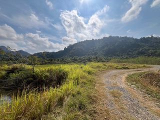 ขาย ที่ดิน ใน เมืองพังงา, พังงา