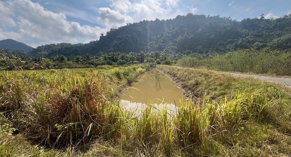 For sale land in Mueang Phangnga, Phang Nga