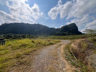 ขาย ที่ดิน ใน เมืองพังงา, พังงา