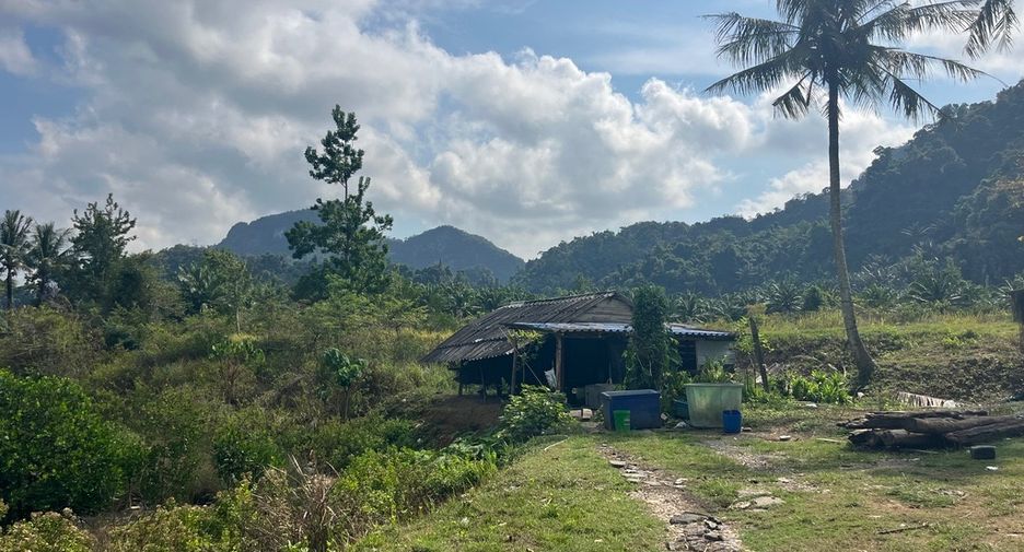For sale land in Mueang Phangnga, Phang Nga