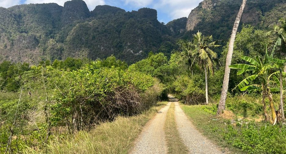 For sale land in Mueang Phangnga, Phang Nga