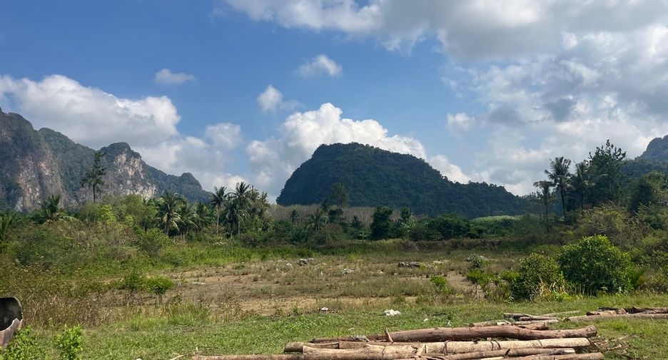 For sale land in Mueang Phangnga, Phang Nga