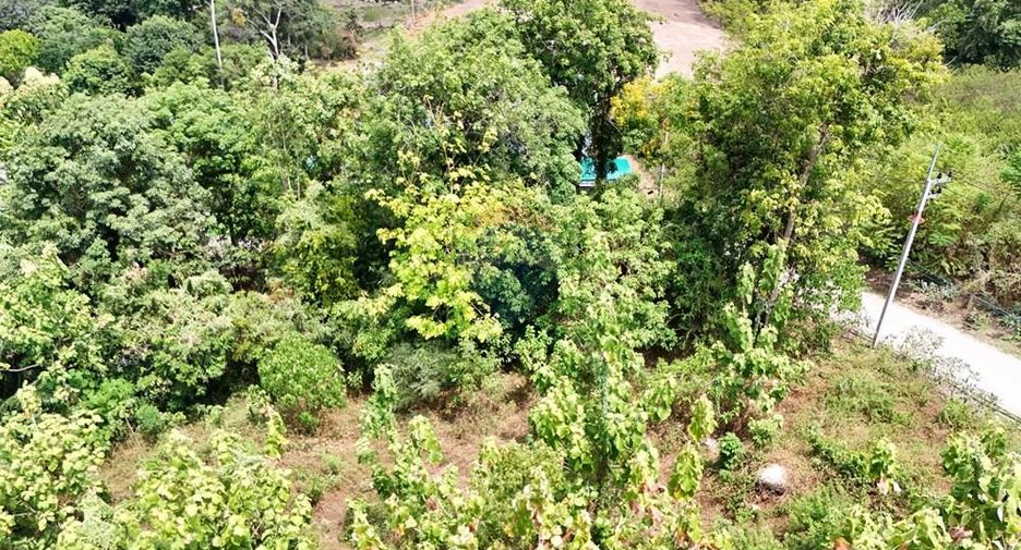 For sale land in Ko Samui, Surat Thani