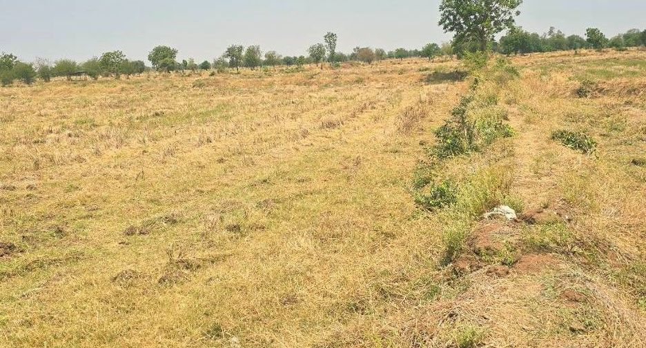 For sale land in Khok Samrong, Lopburi