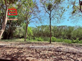 出售 土地 在 Muak Lek, Saraburi