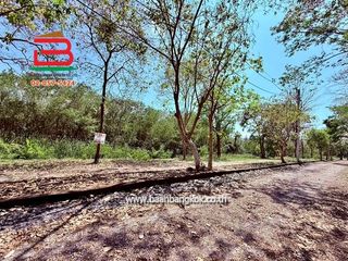 出售 土地 在 Muak Lek, Saraburi