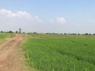 ขาย ที่ดิน ใน พระนครศรีอยุธยา, พระนครศรีอยุธยา