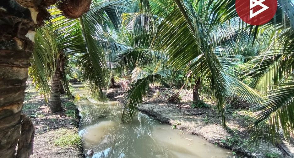 For sale land in Bang Phae, Ratchaburi