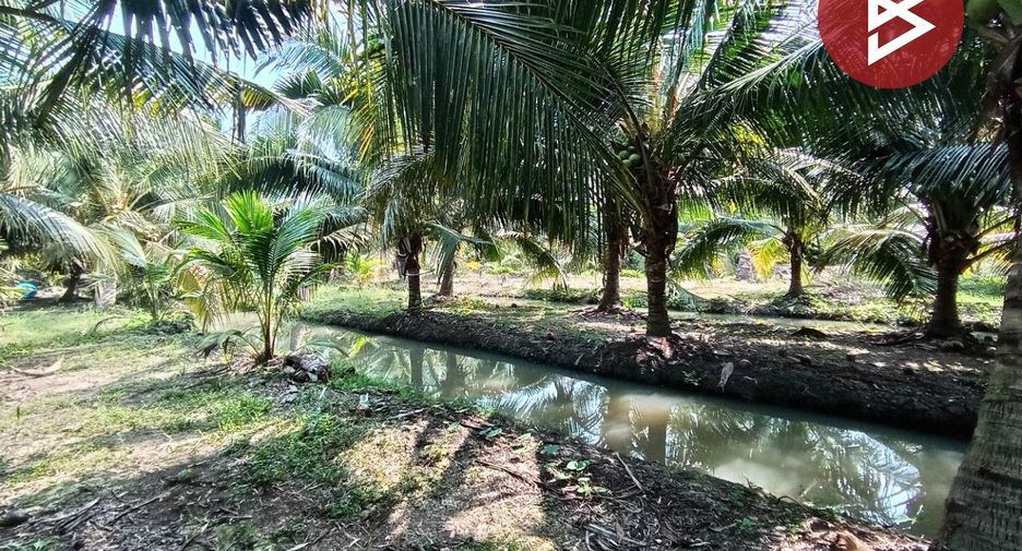 For sale land in Bang Phae, Ratchaburi