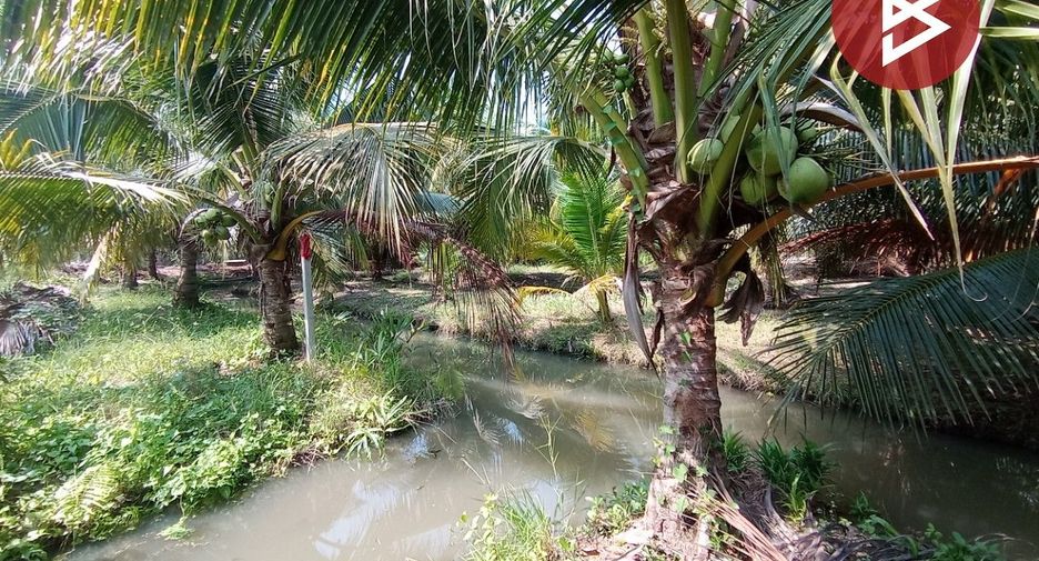 For sale land in Bang Phae, Ratchaburi
