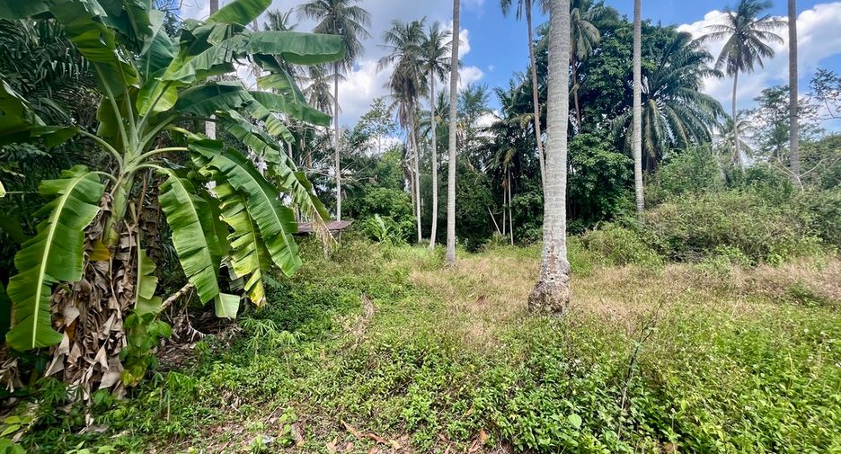 Terreno en alquiler en Mueang Krabi, Krabi