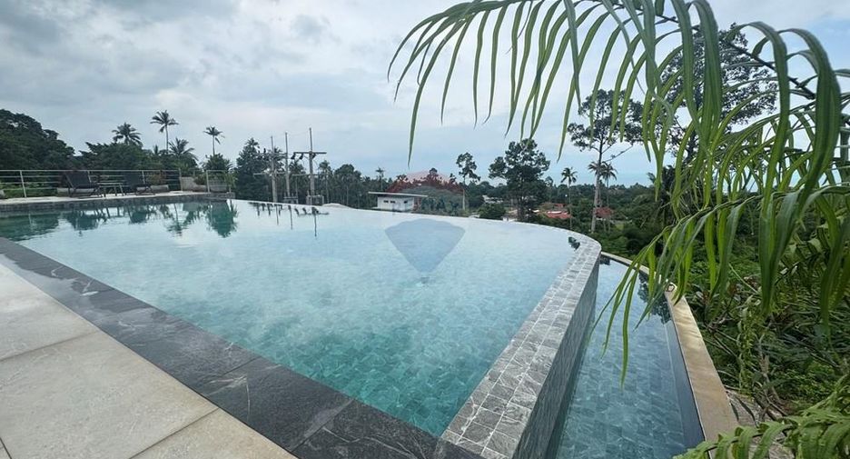 For rent 1 bed apartment in Ko Samui, Surat Thani
