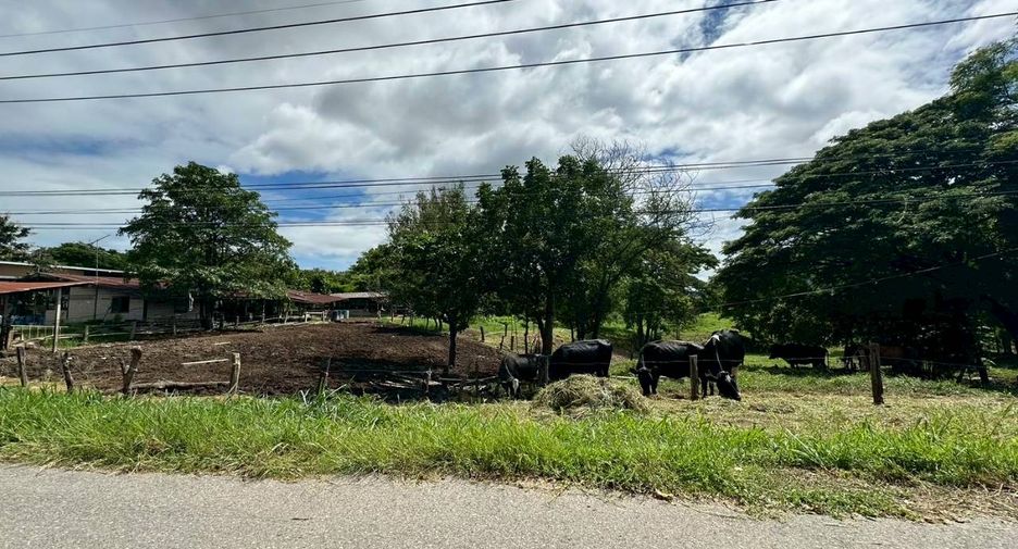 For sale land in Muak Lek, Saraburi