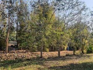 For sale land in Samoeng, Chiang Mai