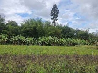 For sale land in Samoeng, Chiang Mai