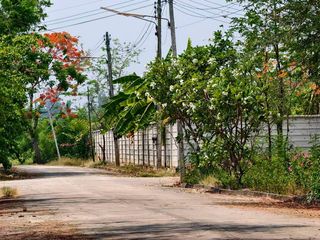 Terreno en venta en Mueang Nakhon Pathom, Nakhon Pathom