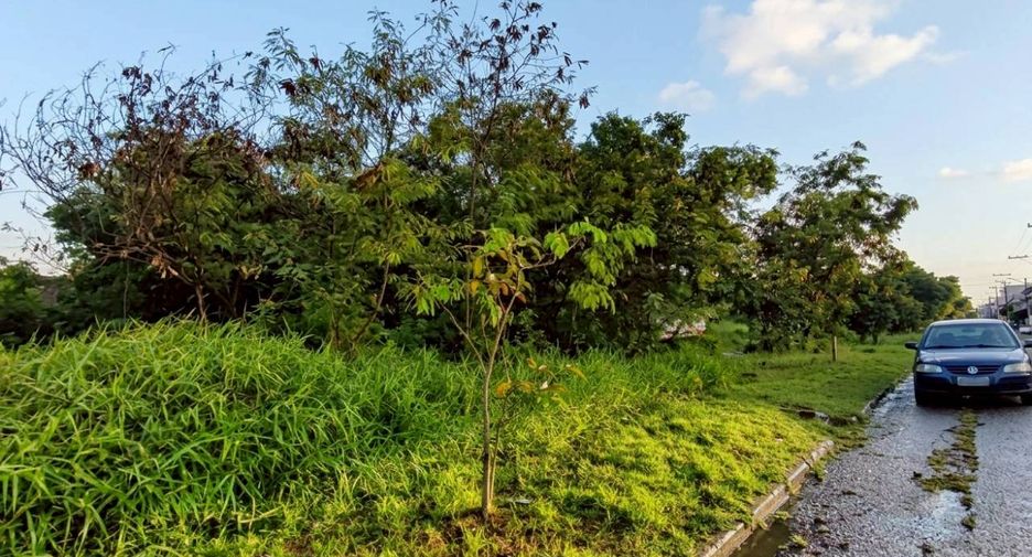 For sale land in Khlong Luang, Pathum Thani
