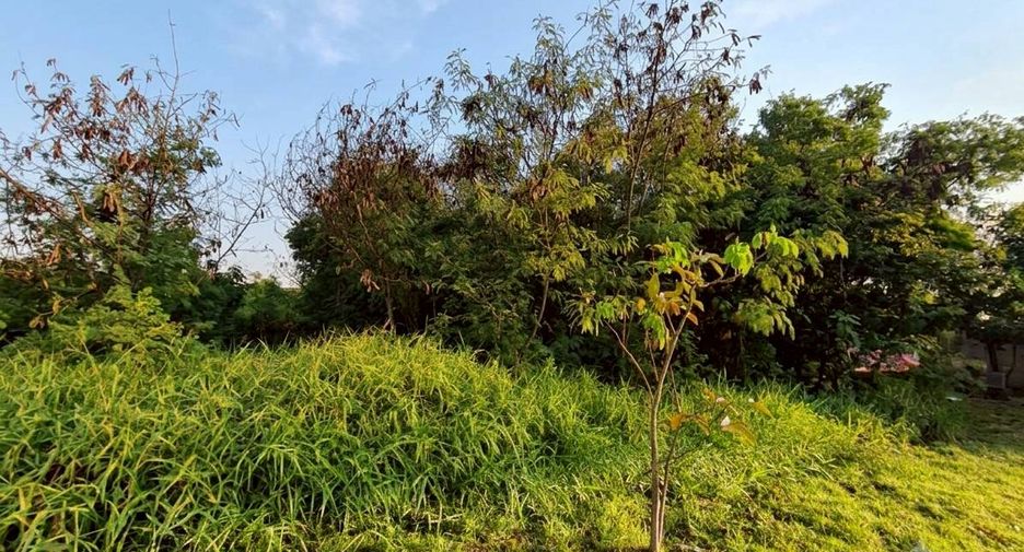 For sale land in Khlong Luang, Pathum Thani