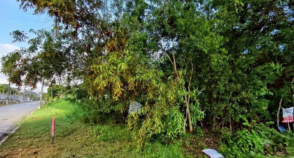For sale land in Khlong Luang, Pathum Thani