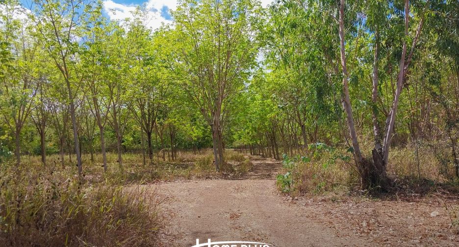 For sale land in Tha Yang, Phetchaburi