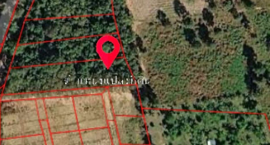 For sale land in Dan Sai, Loei