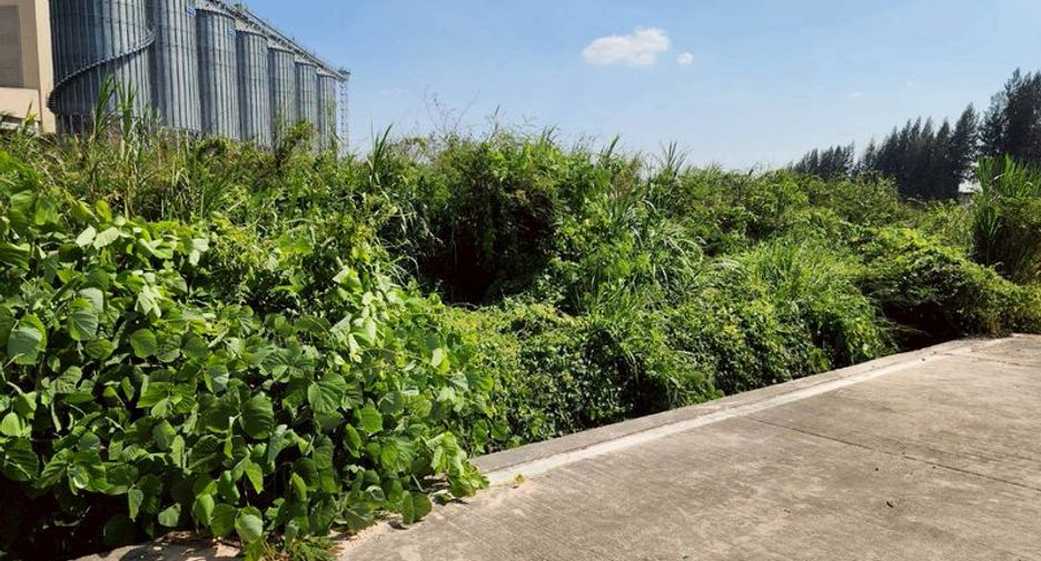 For sale land in Si Racha, Chonburi
