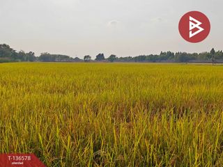 Grundstück zum Kauf in Lam Luk Ka, Pathum Thani