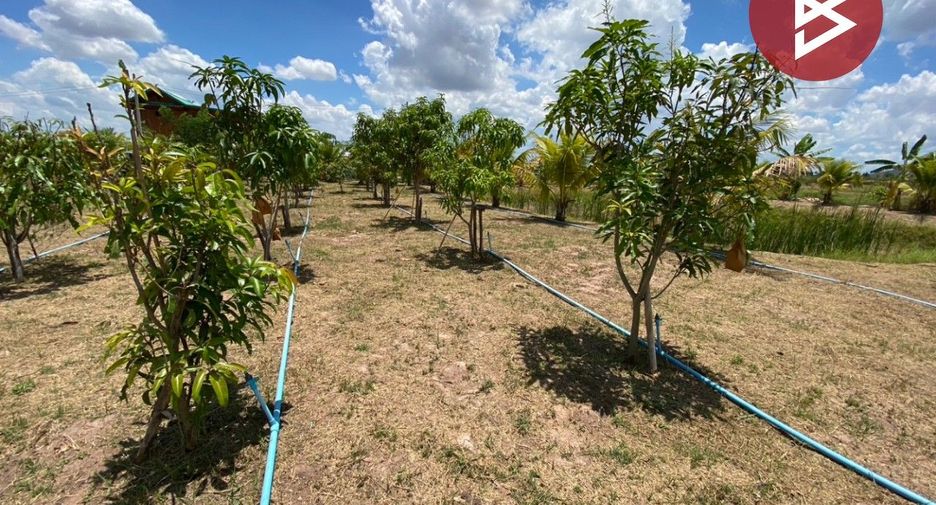 For sale land in Chom Bueng, Ratchaburi