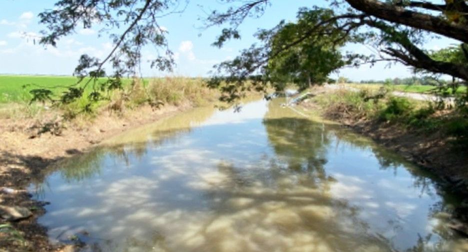 Terreno en venta en Mueang Sing Buri, Sing Buri