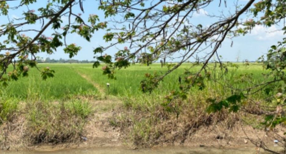 Terreno en venta en Mueang Sing Buri, Sing Buri