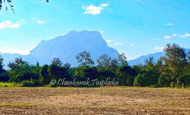 For sale land in Chiang Dao, Chiang Mai