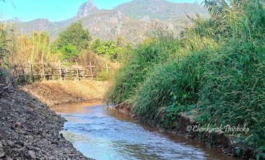 For sale land in Chiang Dao, Chiang Mai
