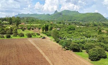 For sale land in Chiang Dao, Chiang Mai