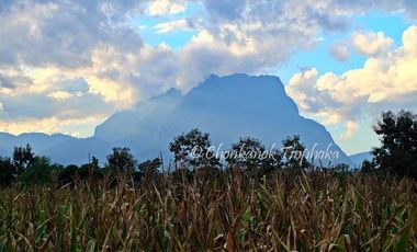 For sale land in Chiang Dao, Chiang Mai
