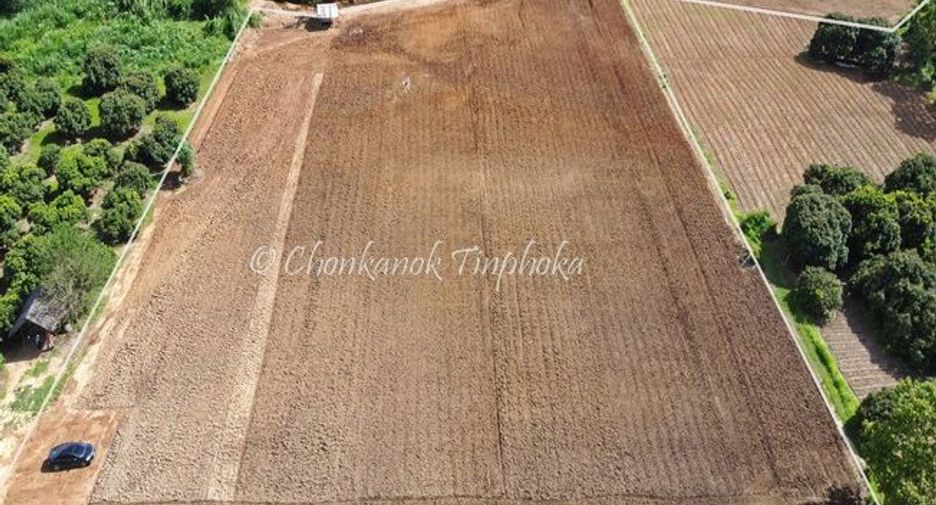 For sale land in Chiang Dao, Chiang Mai
