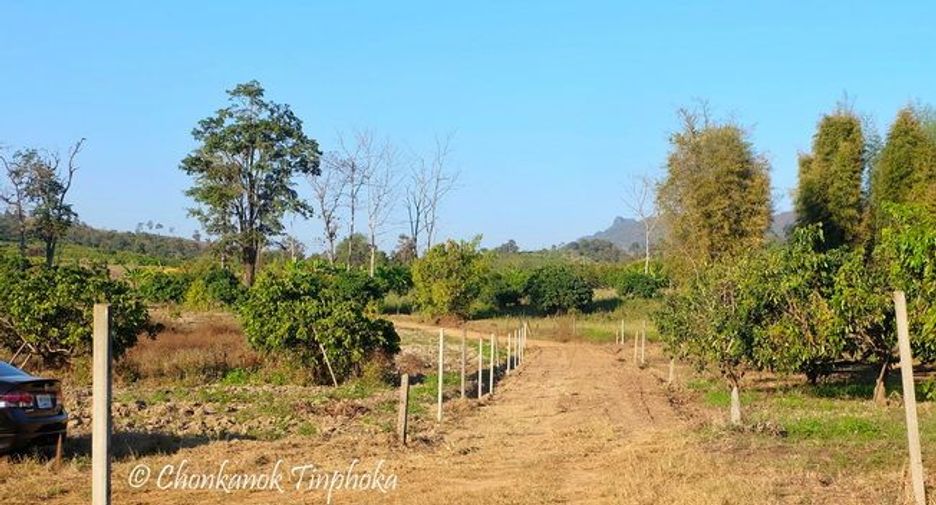 For sale land in Chiang Dao, Chiang Mai