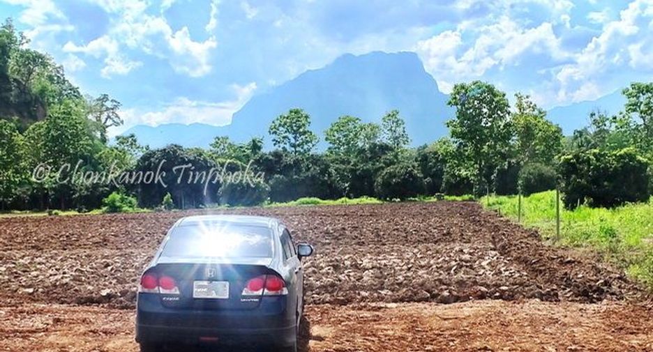 For sale land in Chiang Dao, Chiang Mai