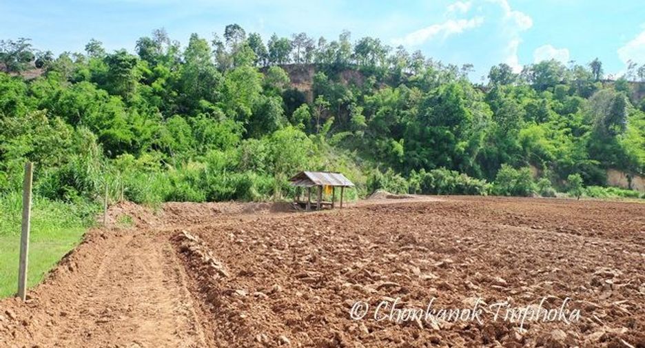 For sale land in Chiang Dao, Chiang Mai