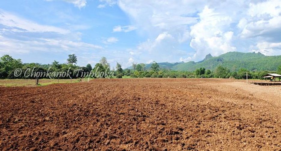 For sale land in Chiang Dao, Chiang Mai