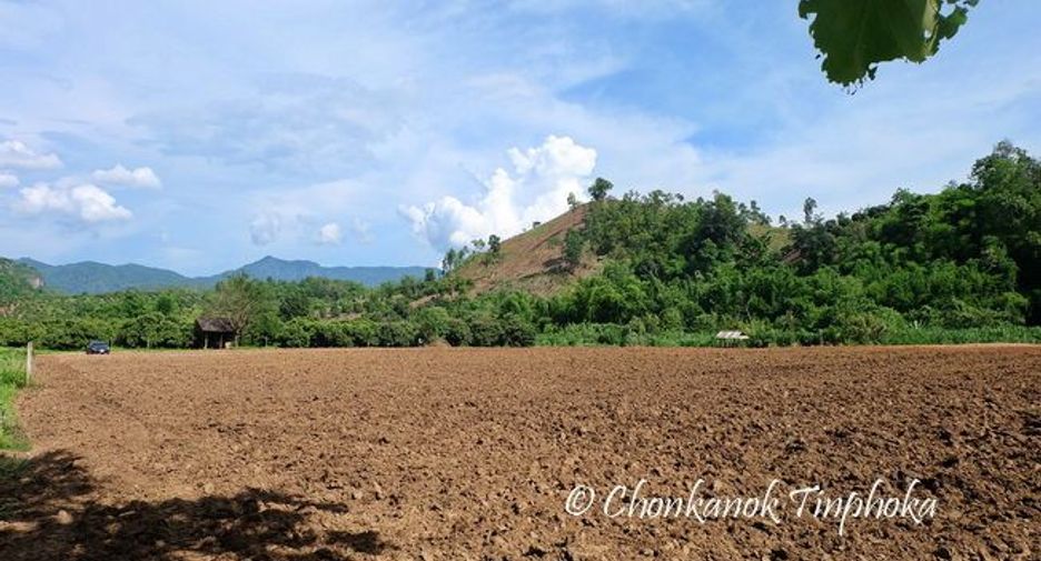 For sale land in Chiang Dao, Chiang Mai