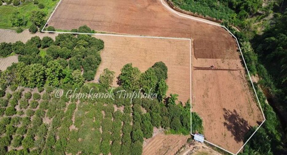 For sale land in Chiang Dao, Chiang Mai