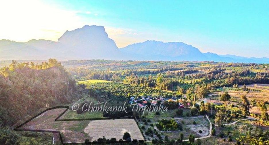 For sale land in Chiang Dao, Chiang Mai