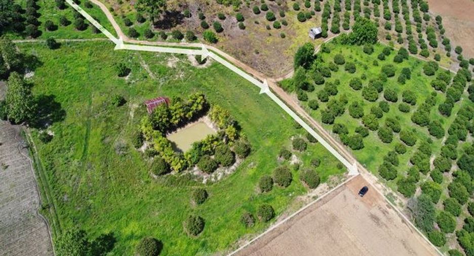 For sale land in Chiang Dao, Chiang Mai