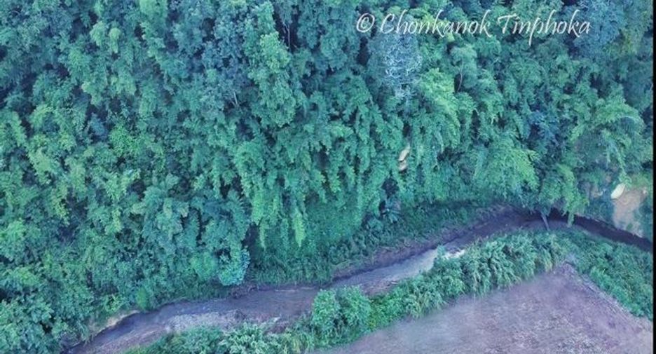 For sale land in Chiang Dao, Chiang Mai